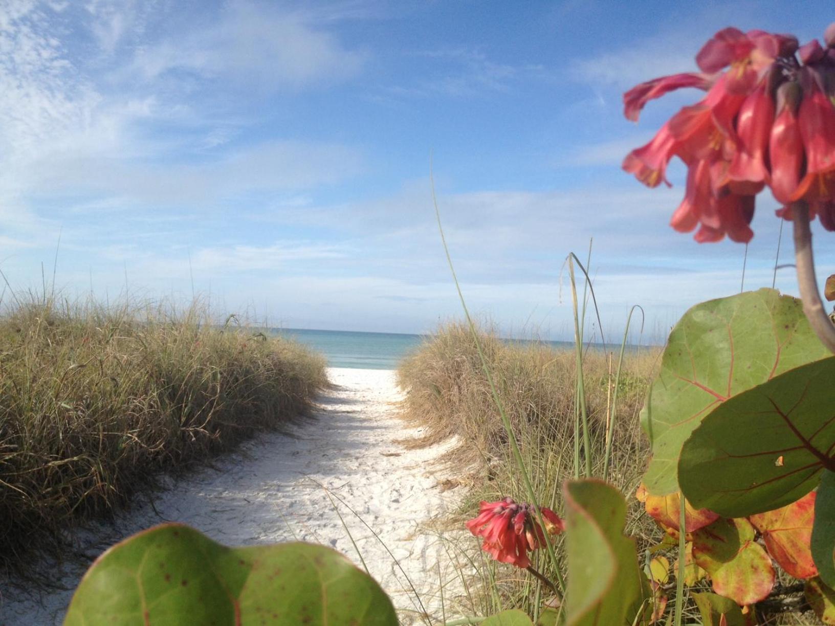 Siesta Key Inn מראה חיצוני תמונה